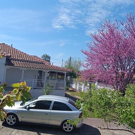 Vasiliki'S Guest House Vergia Екстер'єр фото