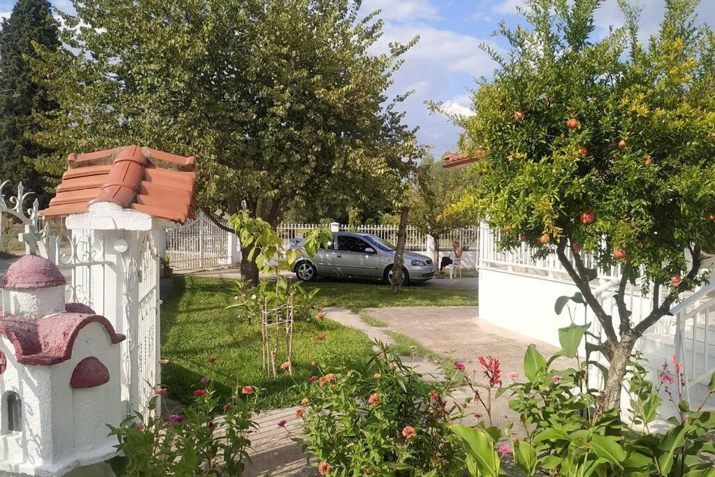 Vasiliki'S Guest House Vergia Екстер'єр фото